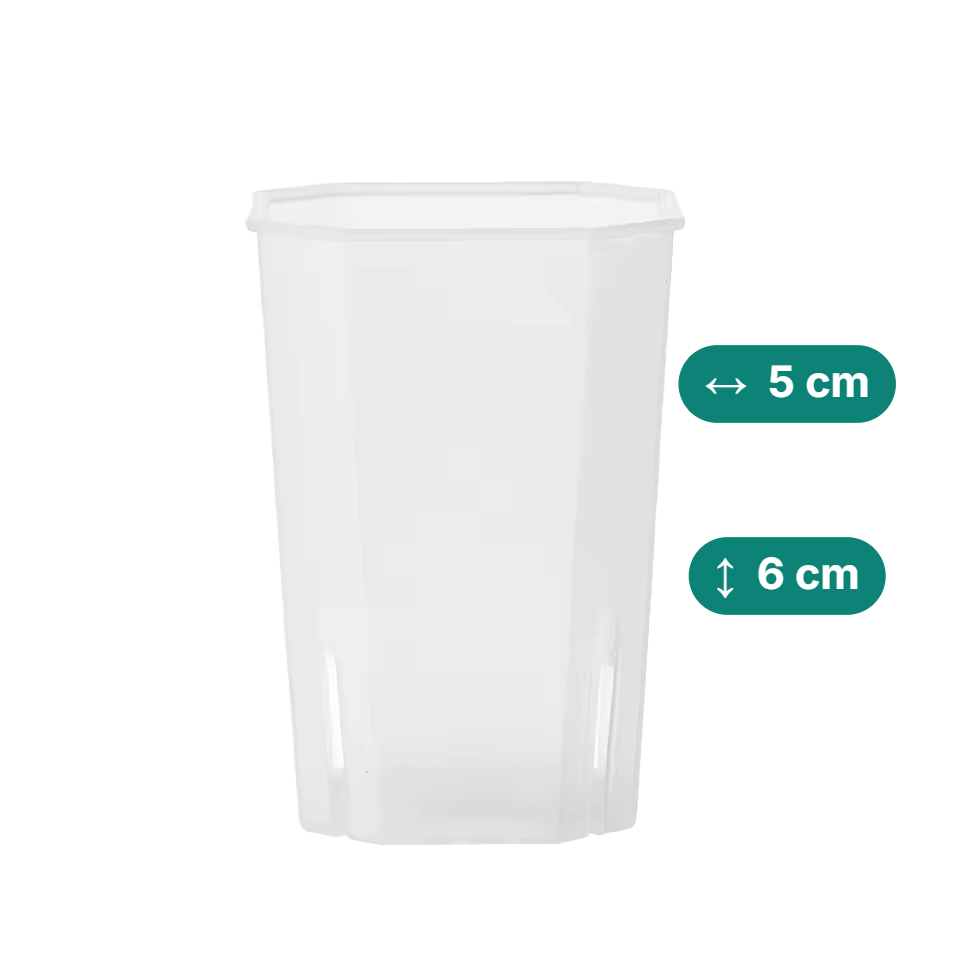 Eckige & hohe Aroid Töpfe – Platzsparend & Transparent (Höhe in cm:6, Topfdurchmesser in cm:5)