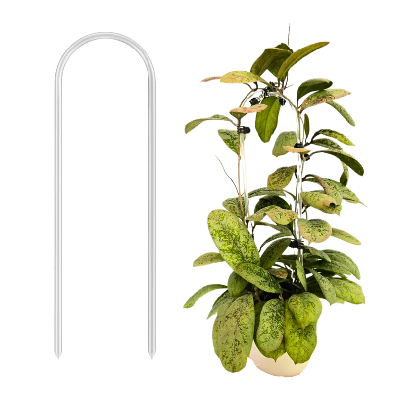 Bogen Rankhilfe – Minimalistischer Halt für Ihre Kletterpflanzen